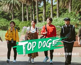 明星黑料《TOP DOG》免费在线观看