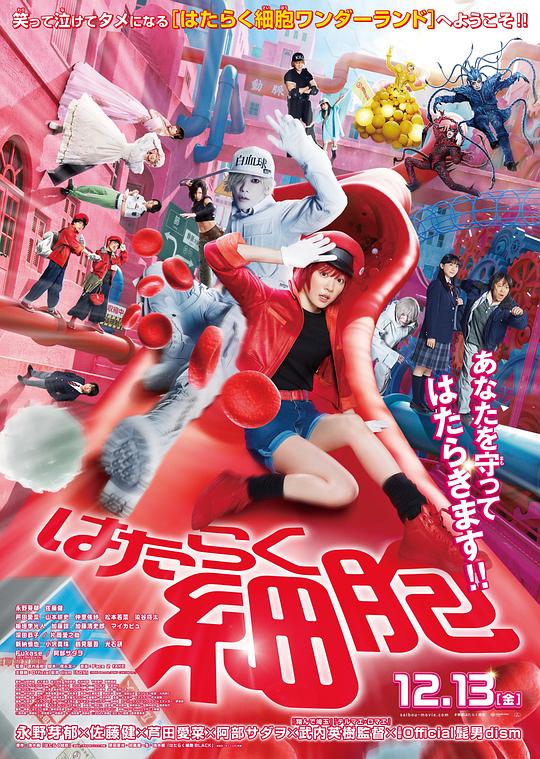 明星爆料《工作细胞 真人版 はたらく細胞》免费在线观看