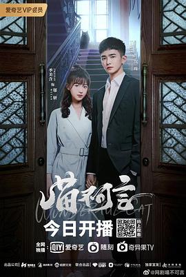 星空传媒《喵不可言》免费在线观看