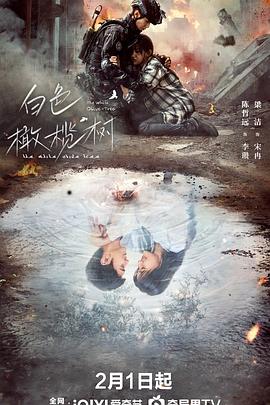 星空传媒《白色橄榄树》免费在线观看