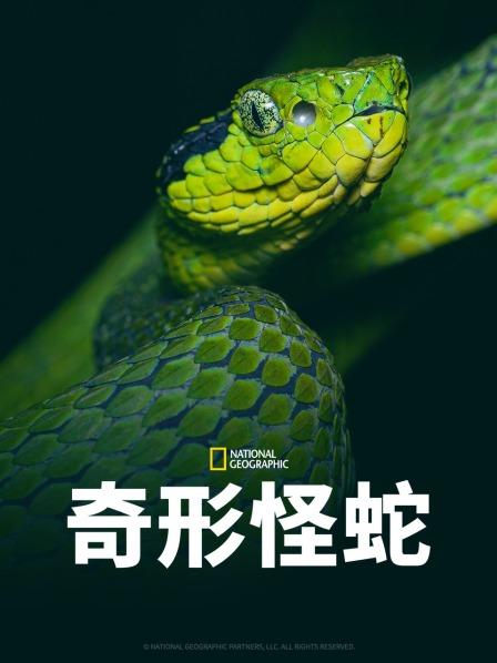 星空传媒《奇形怪蛇》免费在线观看