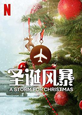 明星爆料《圣诞风暴》免费在线观看